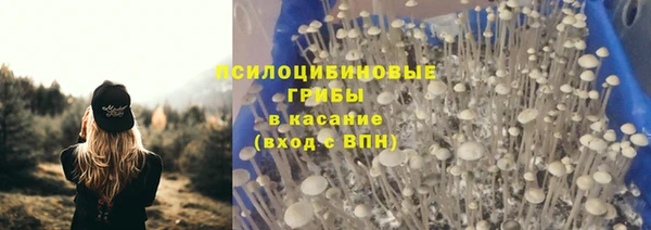 jwh Абаза