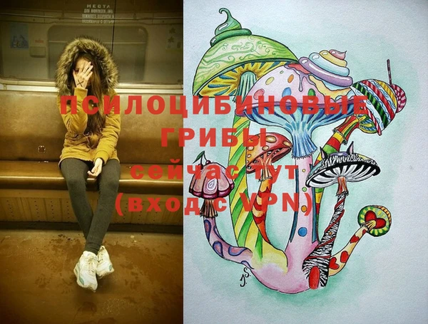 амф Абдулино