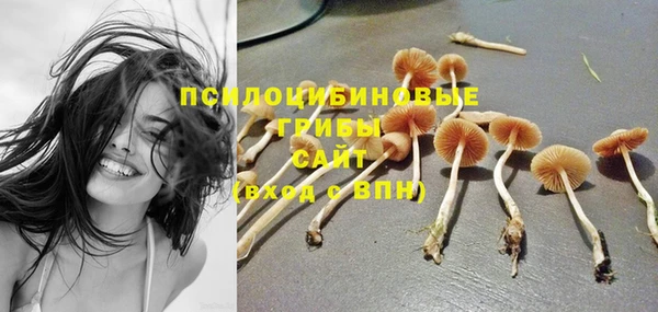 первитин Медногорск
