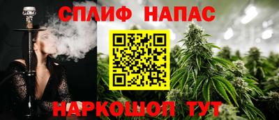 гидра Кимры