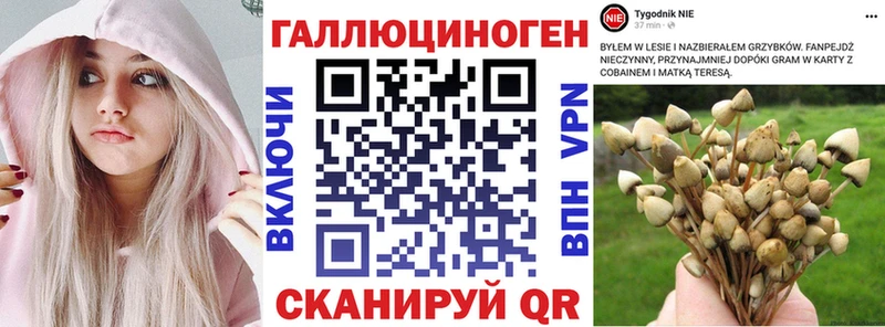 Галлюциногенные грибы Magic Shrooms МЕГА сайт Нефтеюганск